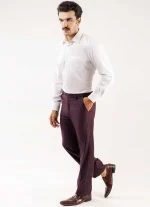Men's Brown Cotton Dress Pants | Classic Fit Formal Trousers | Office & Business Wear - Image 6